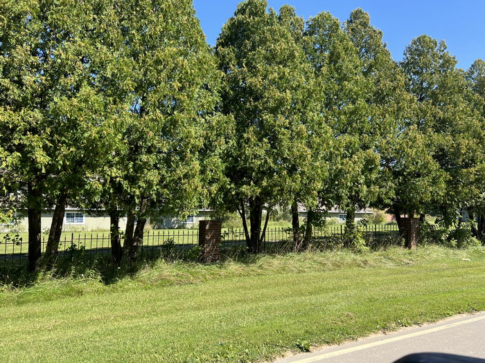 Shay Lake Motel (Cybs Hideaway Lounge) - Sept 4 2023 Photo (newer photo)